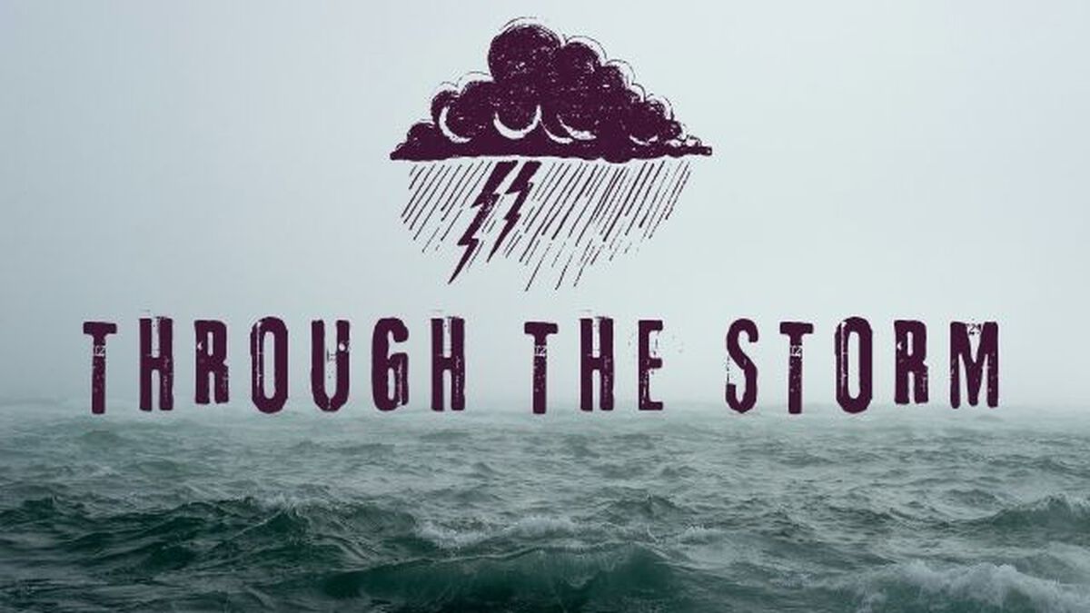 Through The Storm image number 0